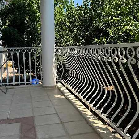 Ergün 37-1 *